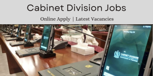 35+ Cabinet Division Jobs 2024 Apply Now for Federal Vacancies